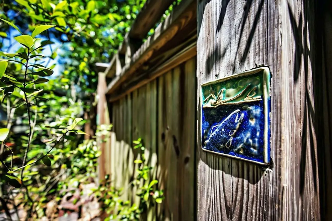 Charming 1923 Cottage At Erehwon Retreat Tampa